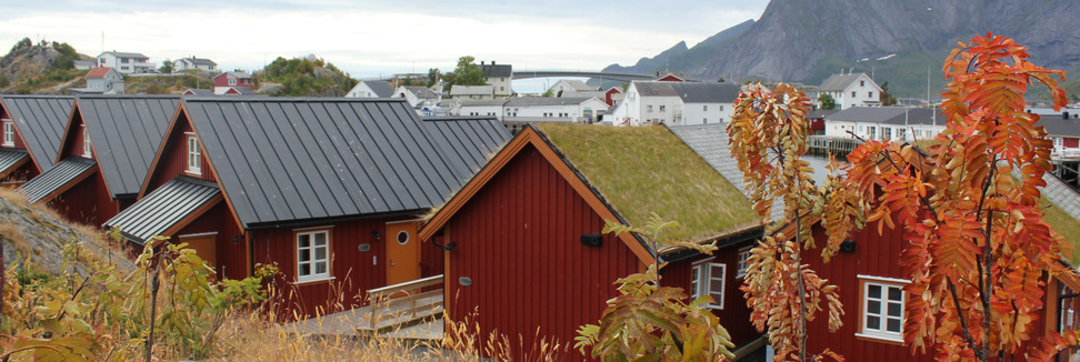 Autumn colours at Reinefjorden Sjøhus