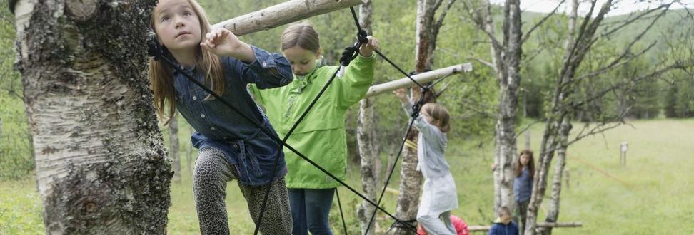 Children on a rope walk between silver birch trees